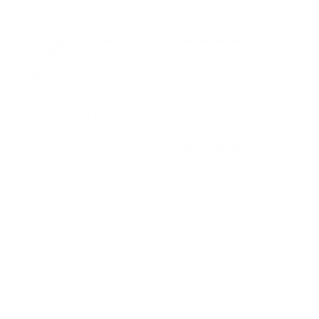 LGB_Logo_CarreMicroContour_INV